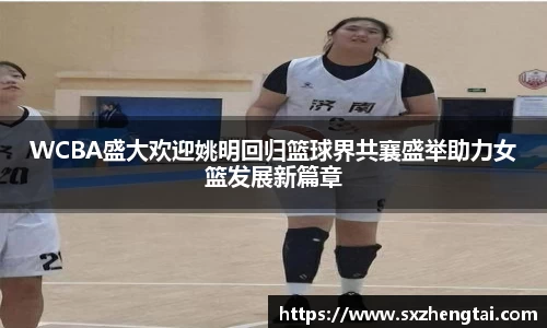 球速体育平台入口